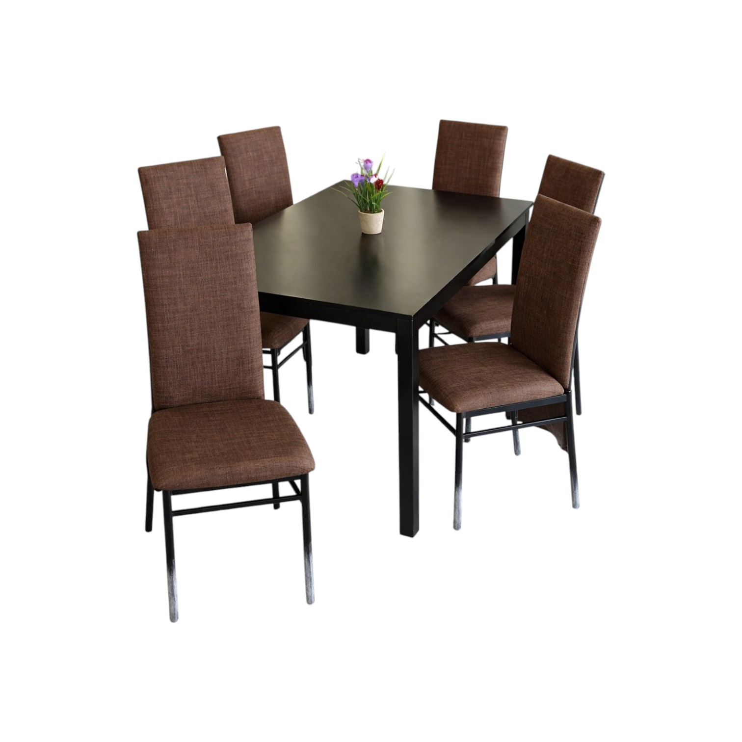 COMEDOR FENIX DE 6